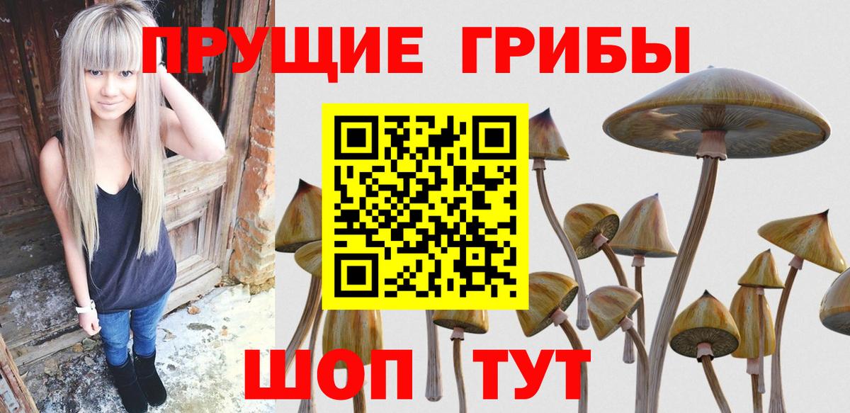 Ржев  купить наркотики сайты  Вход с VPN  Галлюциногенные грибы мицелий 