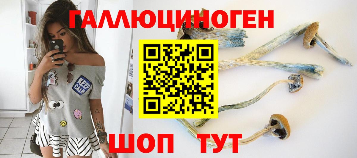 Псилоцибиновые грибы ЛСД Ржев